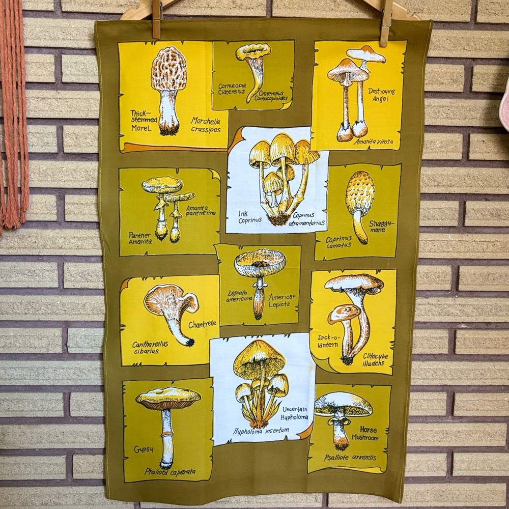 Vintage Mushroom Tea Towel - Cotton Shroom Tea Towel - Mushroom Kitchen Decor